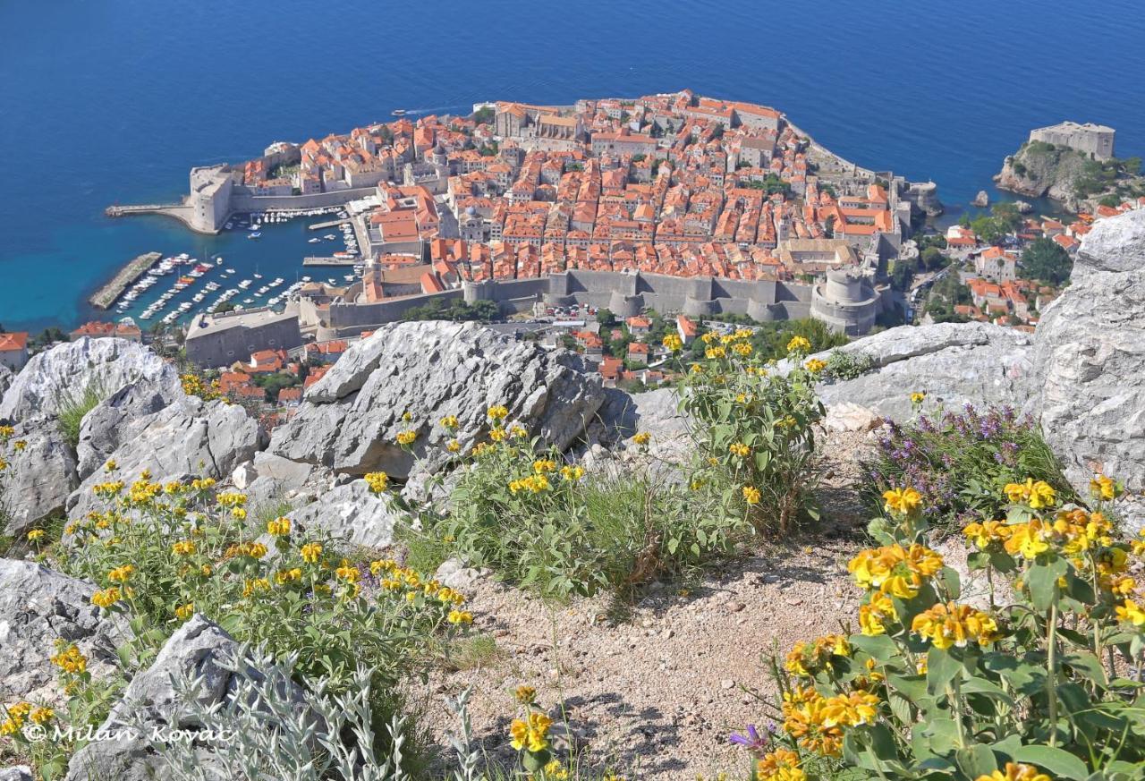Mirror Dubrovnik